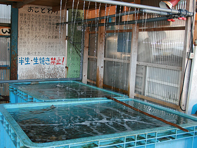 浄化1