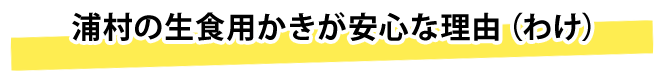 浦村の生食用かきが安心な理由（わけ）