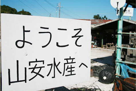 本店